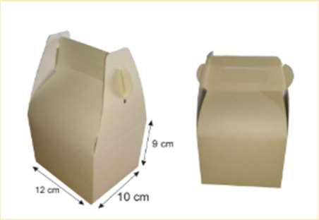 Caja Tipo Maletín